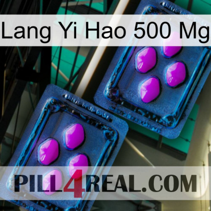 Lang Yi Hao 500 Mg 03